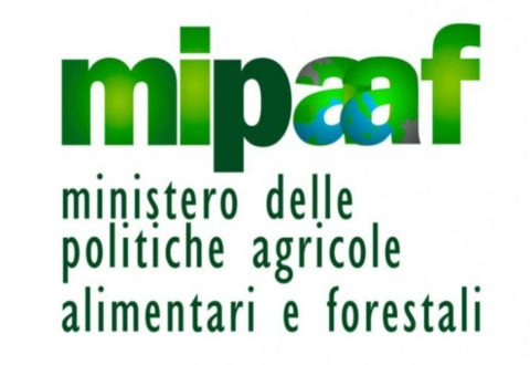 miipaf