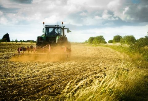 agricoltura-lavoro-agricolo-agricoltore-trattore-macchine-agricole-contoterzismo-agromeccanici-campo-campi-by-antbphotos-fotolia-750x500