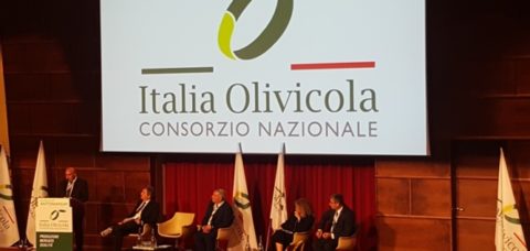 italia-olivicola-presentazione09ott2018mimmo-pelagalli-per-agronotizie