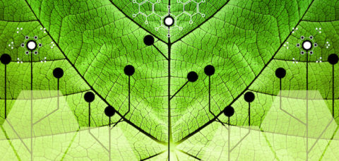 Biomimicry - Nature and Technology - Hybrid Nature - Abstract Illustration