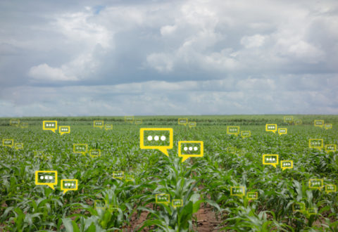 the bubble chat data the detect by futuristic technology in smart agriculture with artificial intelligence to improving yield, efficiency, and profitability in the farm