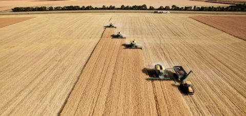 agricoltura-campo-grano-raccolto-trattori-macchine-agricole-tyler-olson-fotolia-4681x3183