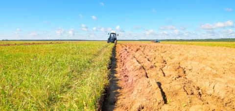 agricoltura-campo-agricolo-trattore-by-hramovnick-fotolia-750