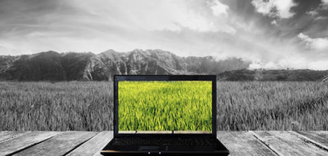 Computer laptop on wooden terrace with nature view background. Contrast colorful computer screen with black and white background. Clipping path on screen