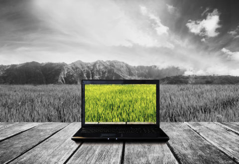 Computer laptop on wooden terrace with nature view background. Contrast colorful computer screen with black and white background. Clipping path on screen