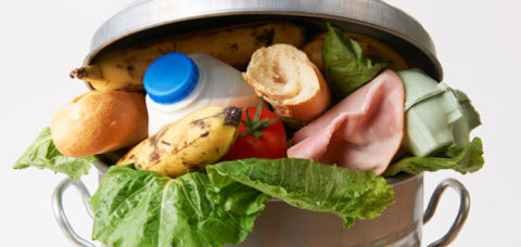 Fresh Food In Garbage Can To Illustrate Waste