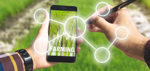 Hand holding smart phone and electronic pen with blank business icon and up trends income chart on screen over rice field background for Ecology Farming Agriculture business, Environment Concept.