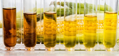 Corn generated ethanol biofuel with test tubes on white background