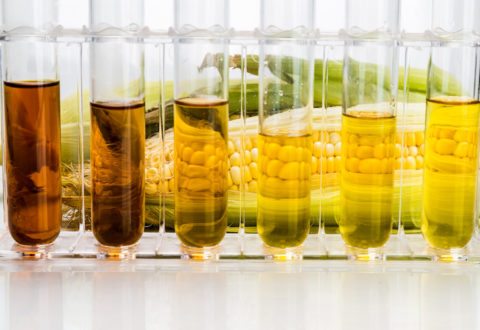 Corn generated ethanol biofuel with test tubes on white background