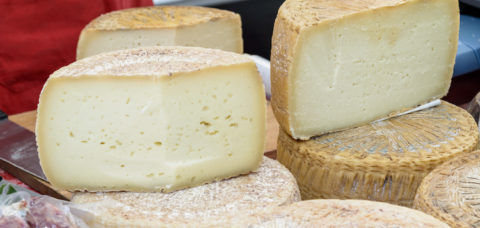 Pecorino cheese typical processing of Sardinia exposed for sale.