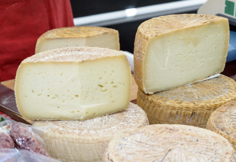 Pecorino cheese typical processing of Sardinia exposed for sale.