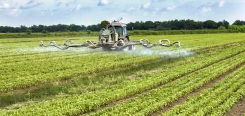 agrofarmaci-fitosanitari-distribuzione-by-federico-rostagno-fotolia-750